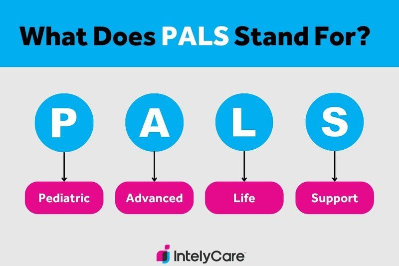 Graphic that describes PALS certification meaning.